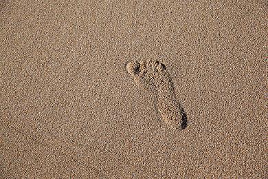 机甲永生 《合金重组》现已登陆Nintendo Switch＆ Epic Games平台发售